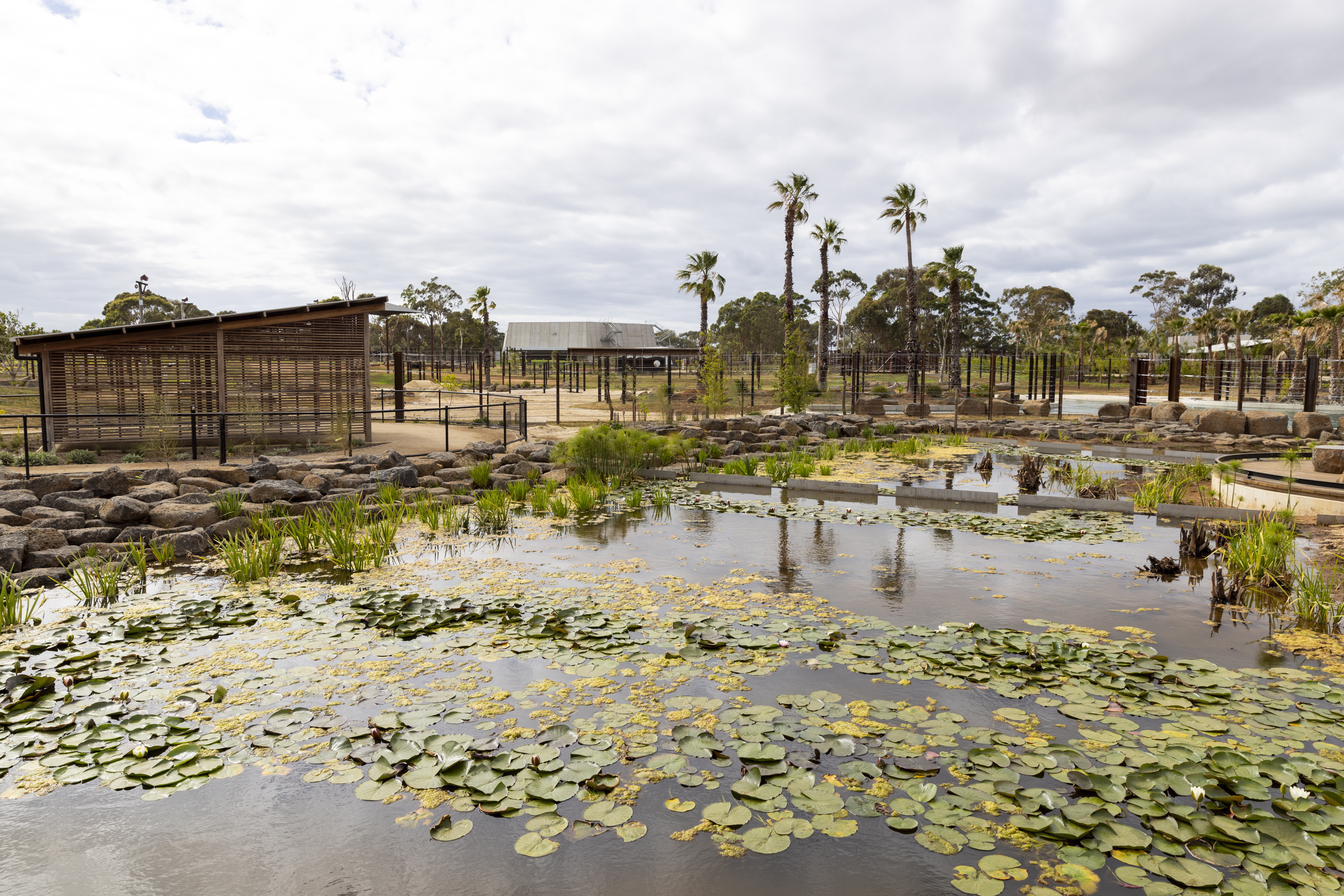 A view of the new Elephant Trail, towards the Elephant Barn, beneath an overcast sky.