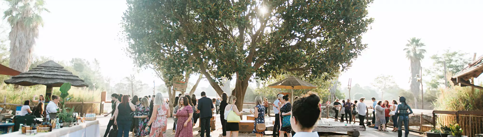 A crowd of people standing under a tree, milling around in small groups, on a misty morning.