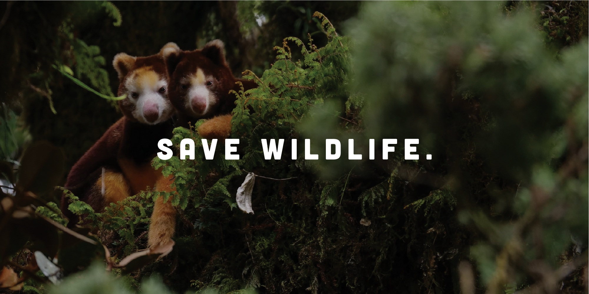 "Save Wildlife": Two Tree Kangaroos sit side-by-side in a bush behind the slogan.