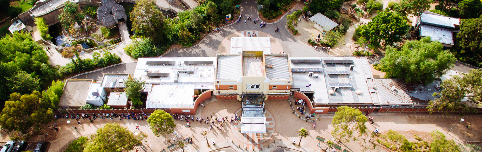 A birds eye view of the Main Gate entrance at Melbourne Zoo. There are people lining up to enter the zoo. 