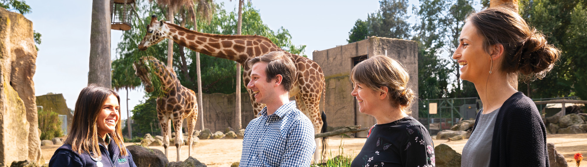 A group of three adults stand alongside a Zoo employee dressed in Zoo uniform, all smiling in front of two Giraffes.