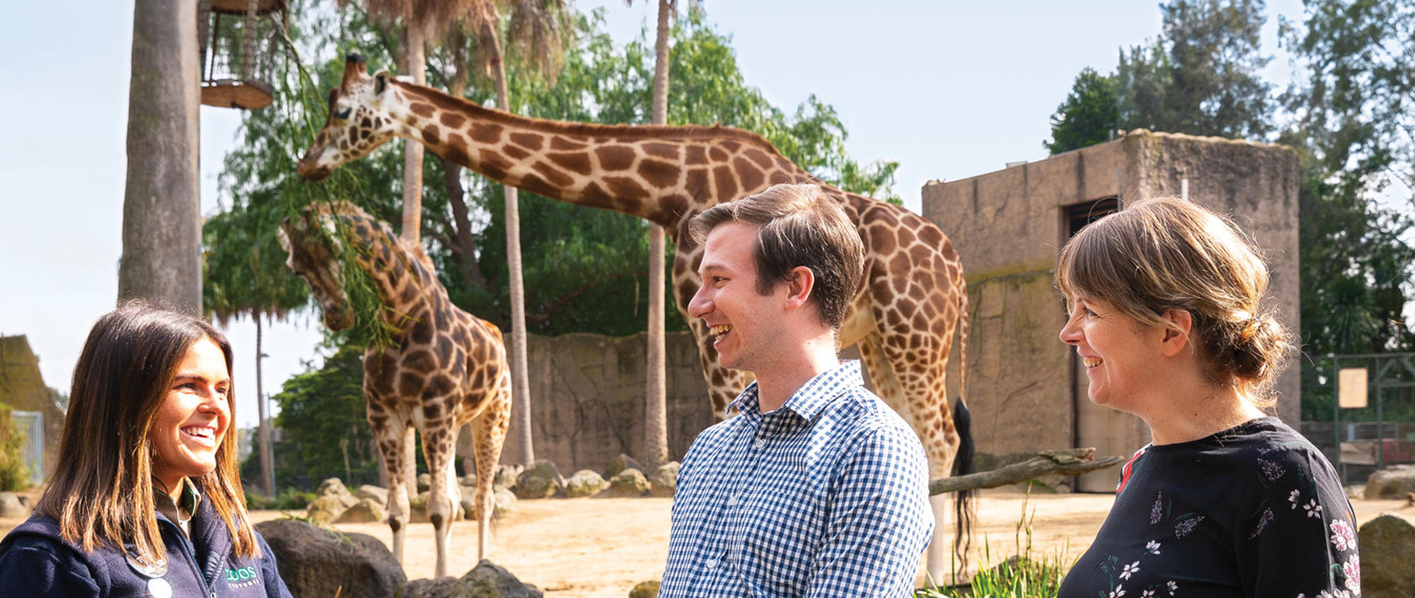 A group of three adults stand alongside a Zoo employee dressed in Zoo uniform, all smiling in front of two Giraffes.