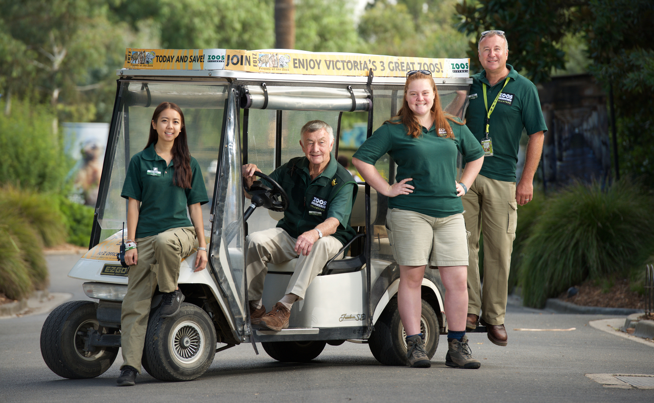 Four volunteers stand proudly with the buggy 