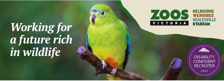 "Working for a future rich in wildlife": This text is to the left of an Orange-bellied Parrot sitting on a branch, with a seal reading "Disability Confident Recruiter 2022" on the right.