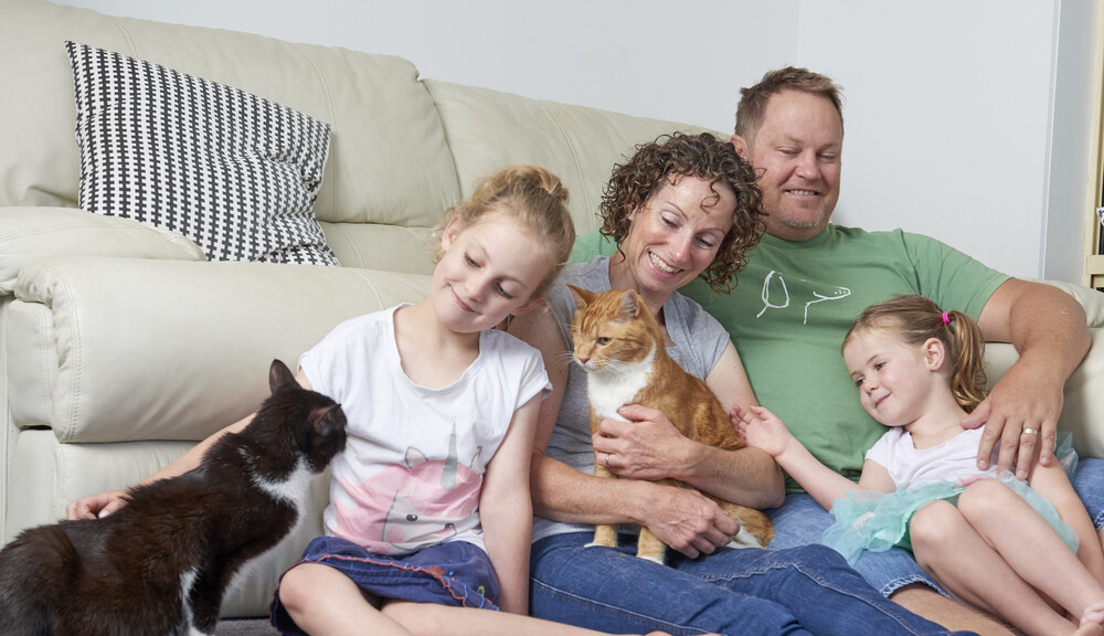 A family of four sitting in front of a couch petting two cats and smiling.