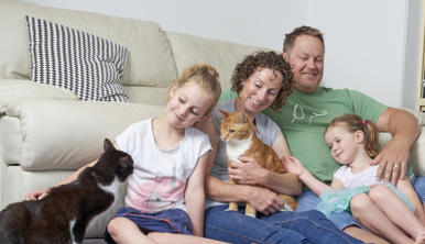 A family of four sitting in front of a couch petting two cats and smiling.