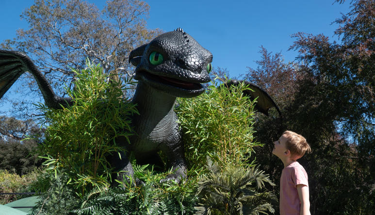 Toothless (the Night Fury Dragon) meets a young guest who is looking enthusiastically up at him, as he stands in ferns and bushes with his wings out.