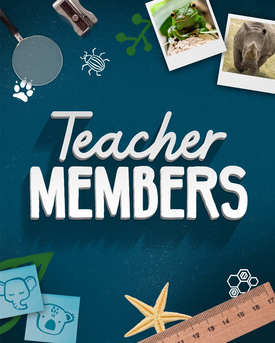 "Teacher Members": surrounding this logo are a magnifying glass, sharpener, illustrated beetle, photos of a Frog and Rhinoceros, ruler, starfish and illustrated faces of a Koala and Elephant.