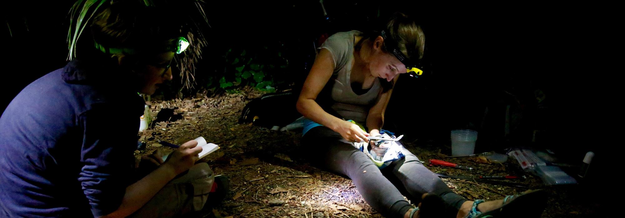 Two researchers wearing headlamps sitting on ground examining things at night time.