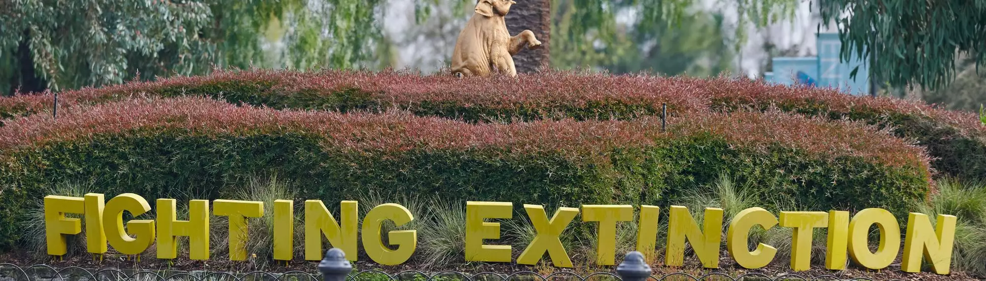 "Fighting Extinction": This deep yellow logo is below the gold Elephant statue and rose bush.