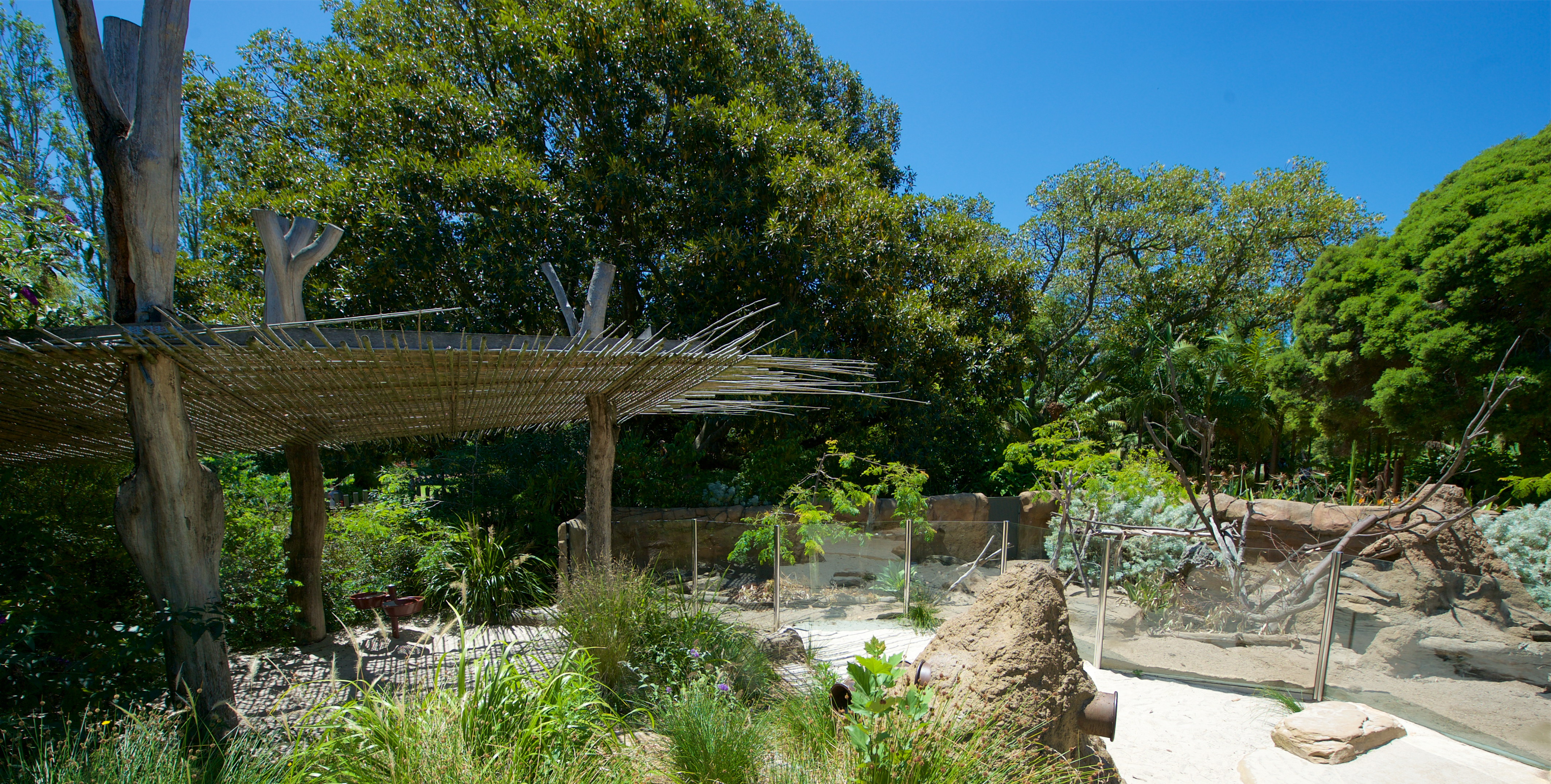 A view of the Growing Wild Bamboo Shelter, next to the rear Meerkat habitat, in the sunshine.