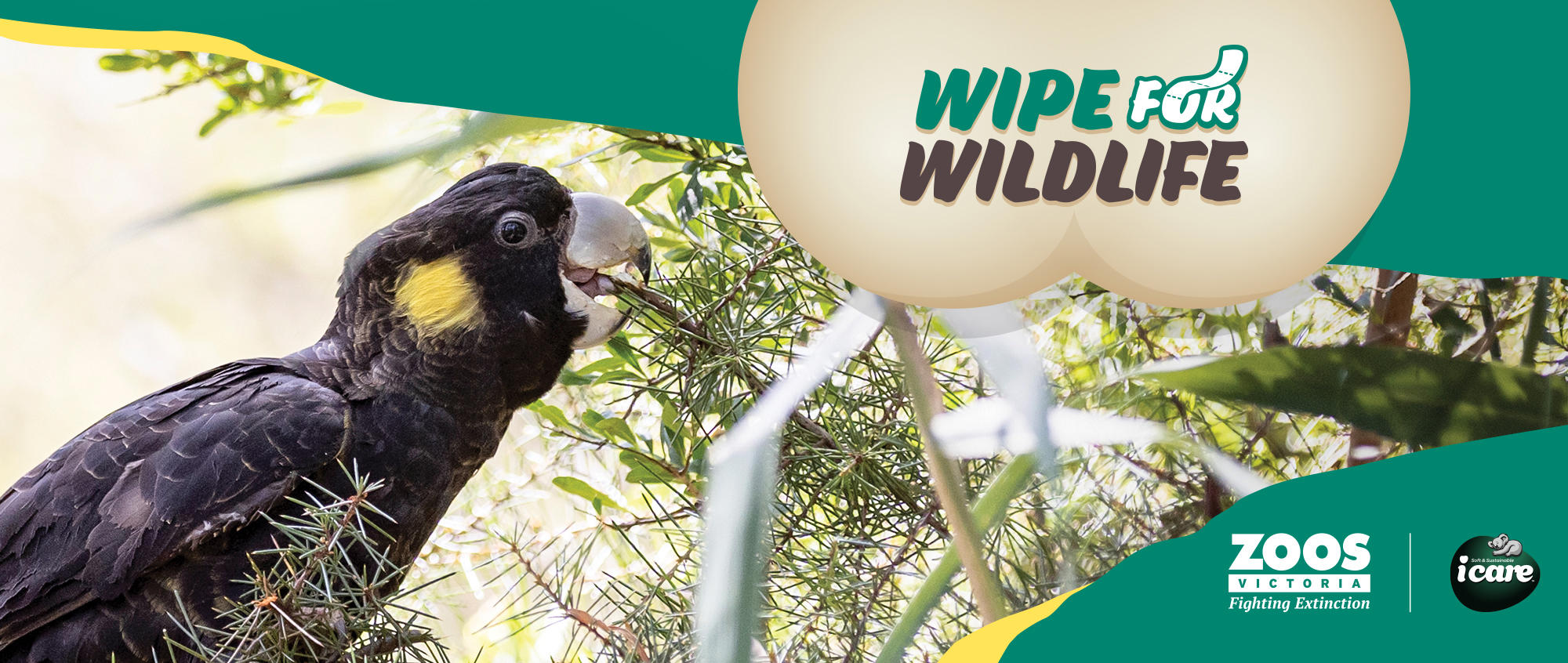 "Wipe For Wildlife": A Yellow-tailed Black-Cockatoo eating on a branch is to the left of the logo.