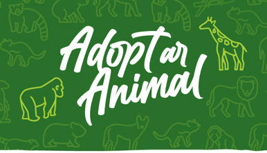 "Animal Adopters" - Adopt an animal, from one of nineteen on a green background, two of them highlighted in chartreuse green.