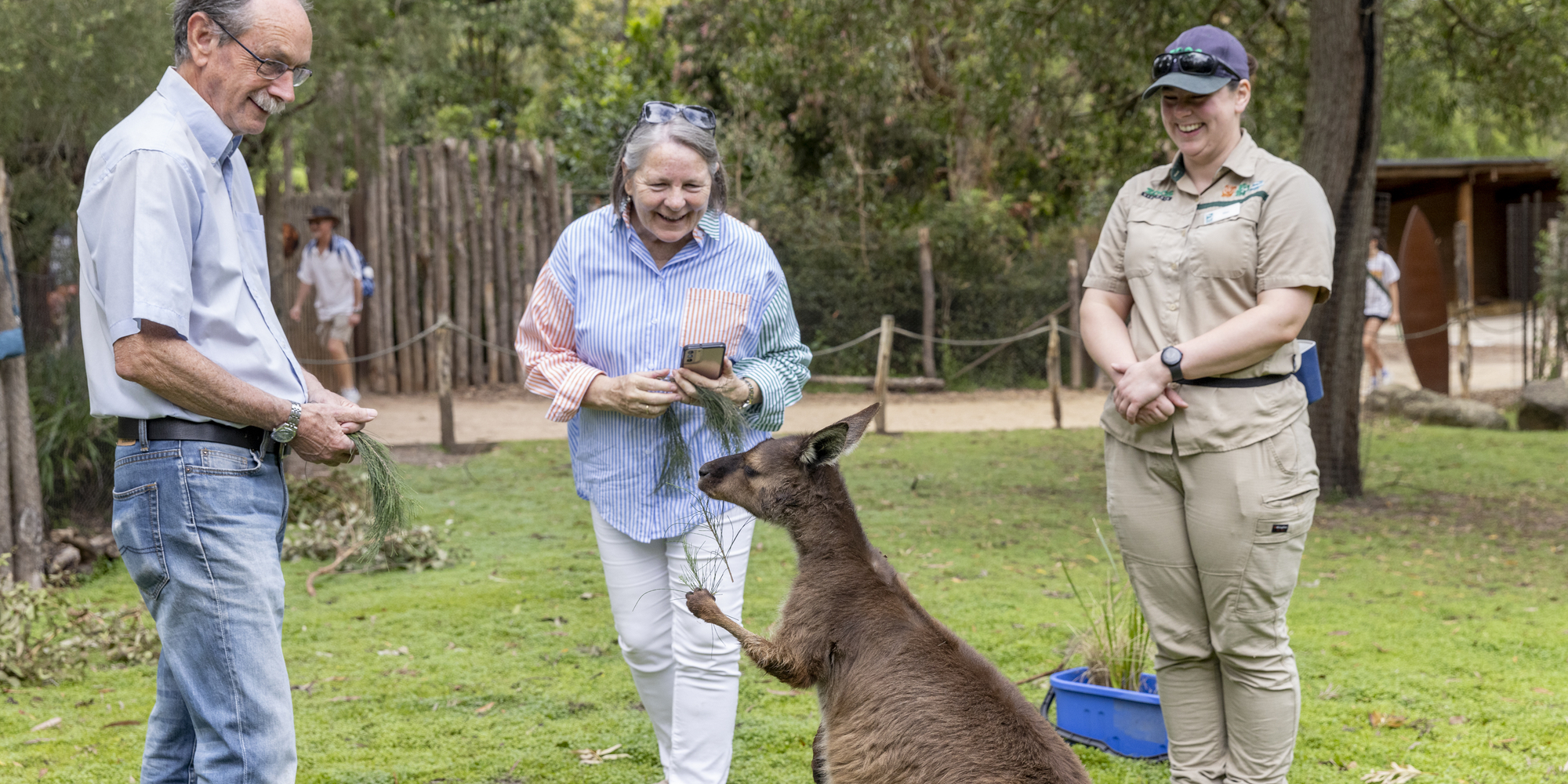 Two older visitors enjoying Kangaroo Experience, looking at kangaroo up-close with a keeper next to them