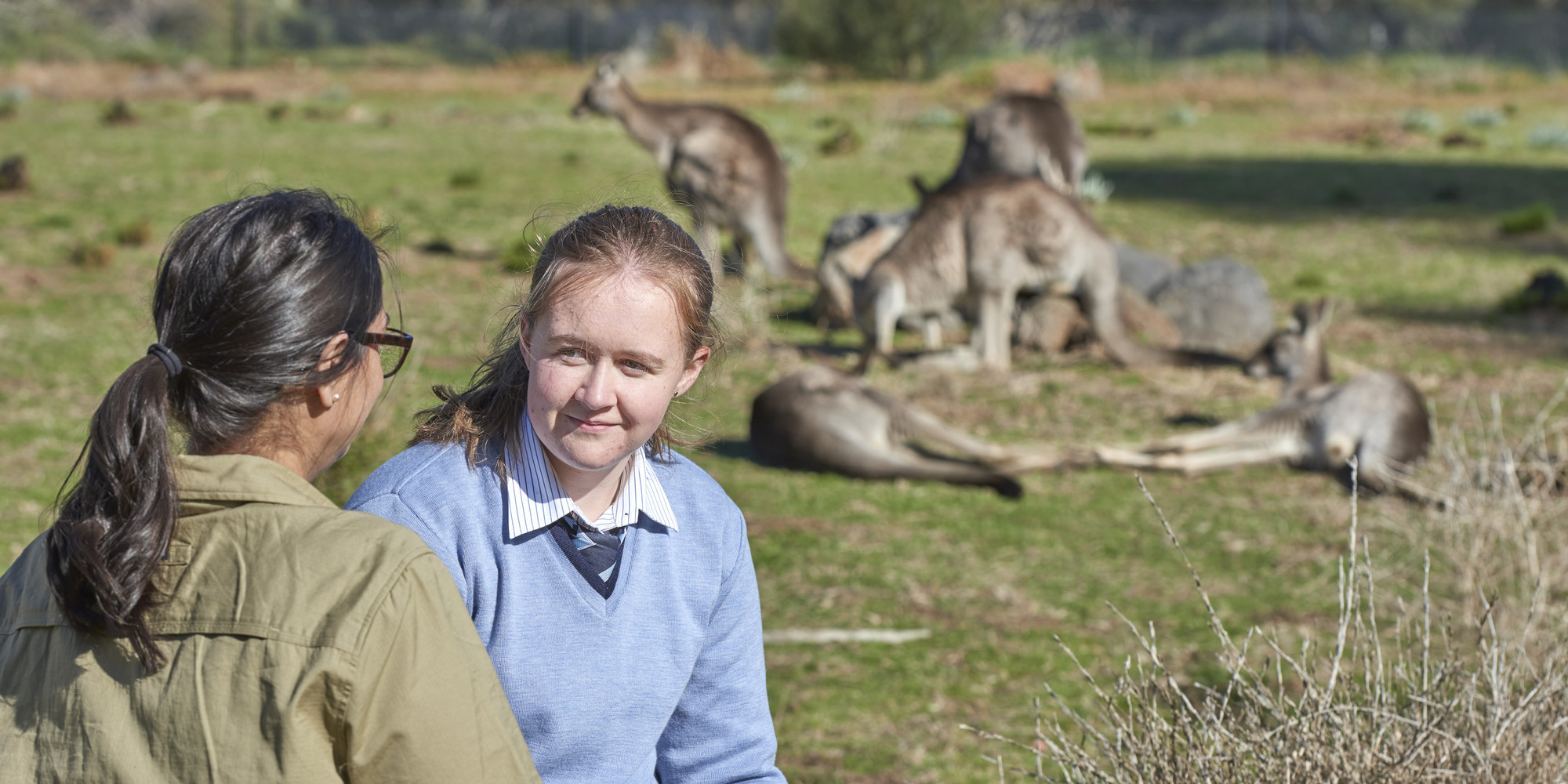 A student in light blue school uniform has her back to a pack of Kangaroos in a field as she talks with a Keeper in khaki uniform.