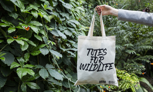 A tote bag with the text "Totes for Wildlife" on it, being held up by a right arm, in front of trees inside the Butterfly House.