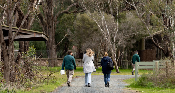 Guests Walking With Keeper Along Trail At Kyabram Fauna Park