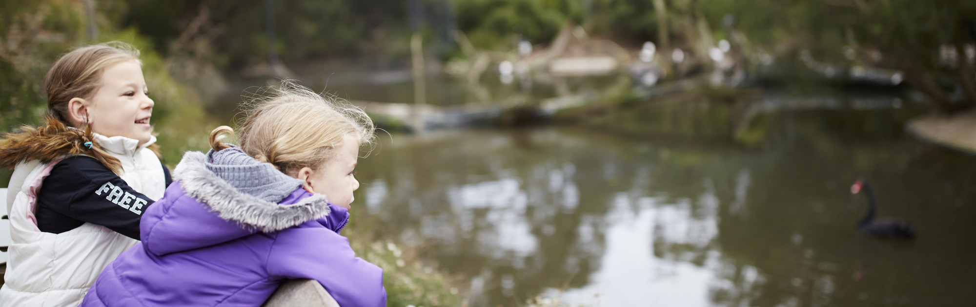 Two young girls lean over a fence. There is a wetland in front of them and a black swan swimming in the water.