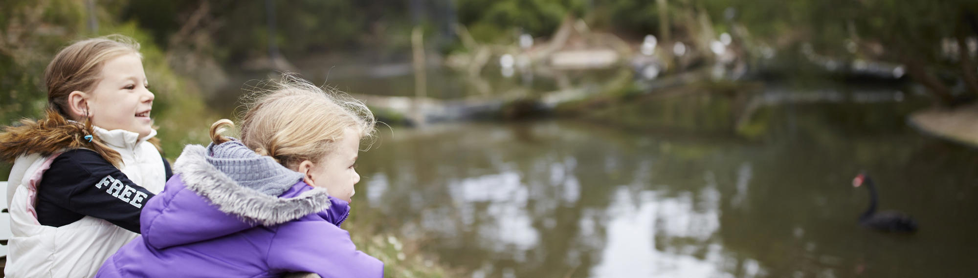 Two young girls lean over a fence. There is a wetland in front of them and a black swan swimming in the water.