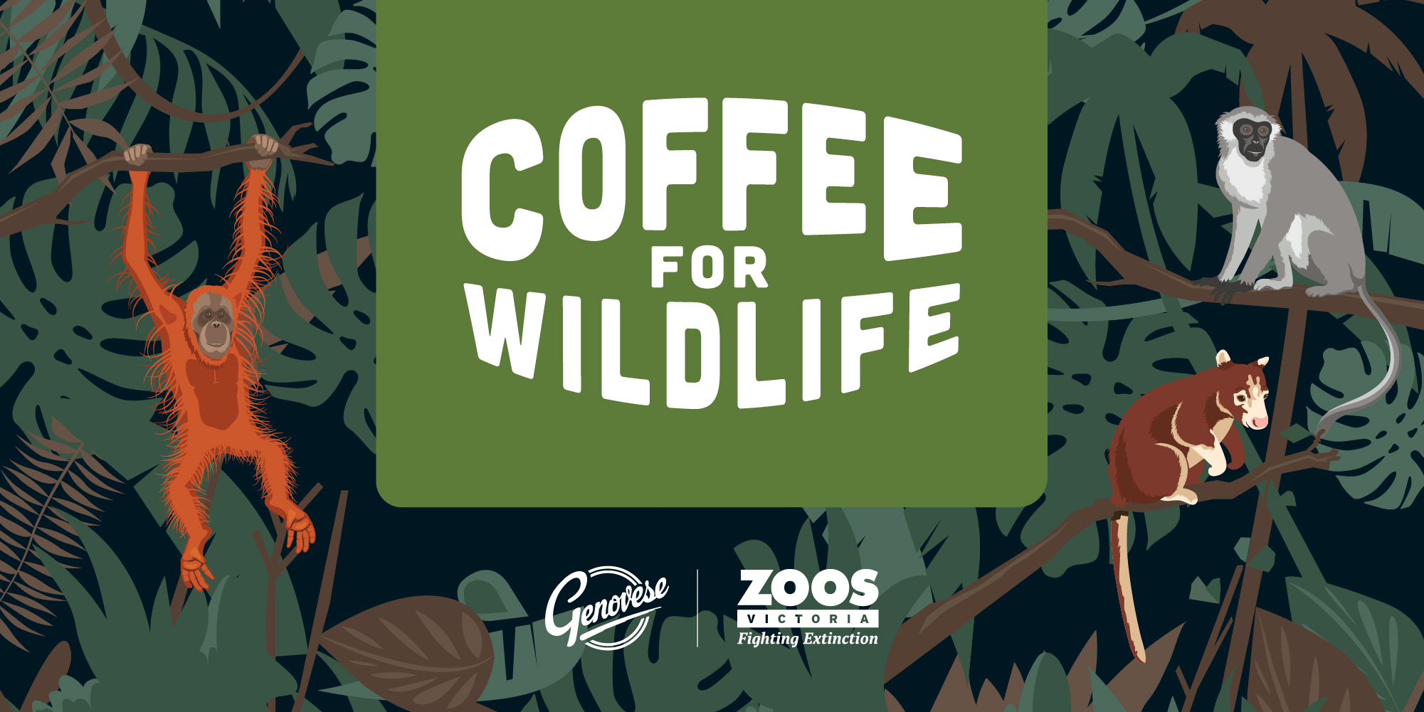 "Coffee For Wildlife": Surrounding this logo are an illustrated Sumatran Orangutan to the left, Ethiopian Vervet Monkey and New Guinean Matschies Tree Kangaroo to the right.