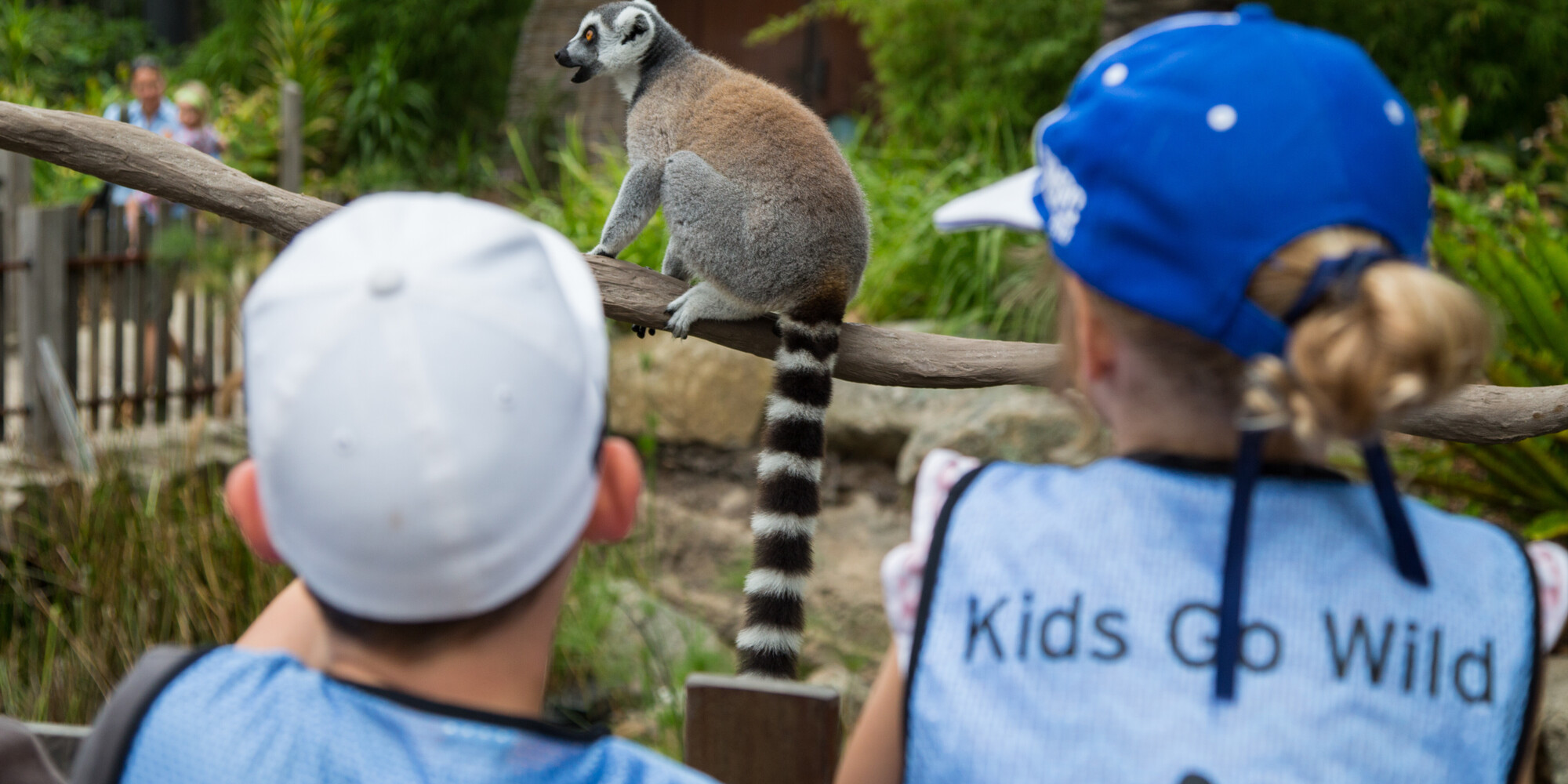 A rear view of two young children's heads looking at a Lemur, one wearing an ice blue hat, while the other wears a pure blue hat and a vest that reads 'Kids Go Wild' on it.