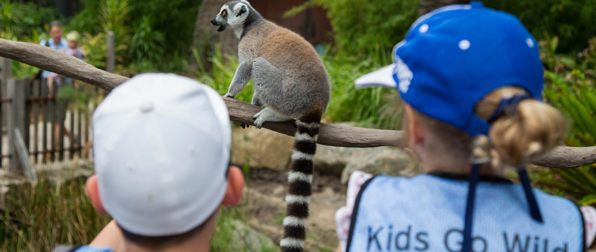 A rear view of two young children's heads looking at a Lemur, one wearing an ice blue hat, while the other wears a pure blue hat and a vest that reads 'Kids Go Wild' on it.